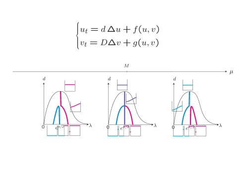 反応拡散系の一般形、分子分布モデルの定常解集合の分岐図式